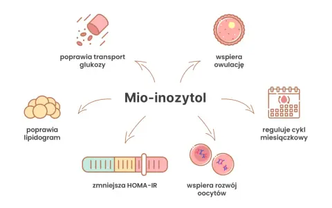 Mio-inozytol: kiedy brać? Wspiera owulację, reguluje cykl, poprawia transport glukozy, lipidogram, zmniejsza HOMA-IR i rozwój oocytów.