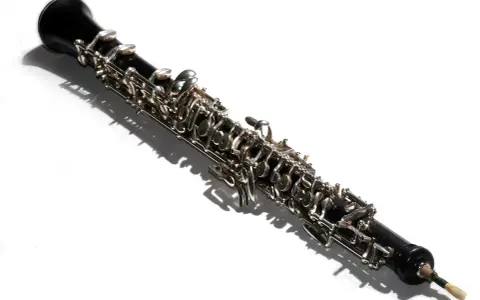 Ein elegantes Musikinstrument, eine Oboe, liegt im Schatten.