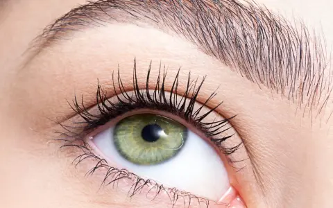 Œil vert aux cils longs, sourcil parfaitement dessiné après une épilation sourcil cire.