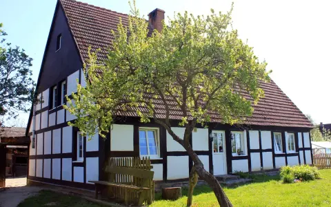 Urokliwe domy w kratę z drewnianymi belkami i białymi ścianami, otoczone zielenią i kwitnącym drzewem.