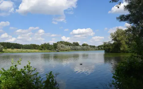 Ein ruhiger Fluss bei Bielefeld, gesäumt von grünen Bäumen und bewölktem Himmel. Enten schwimmen auf dem Wasser.