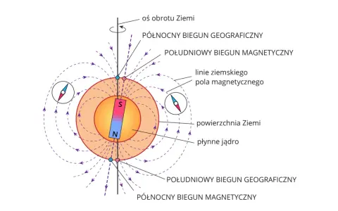 Ilustracja pokazuje, jak działa kompas: igła magnetyczna ustawia się wzdłuż linii pola magnetycznego Ziemi, wskazując biegun północny.