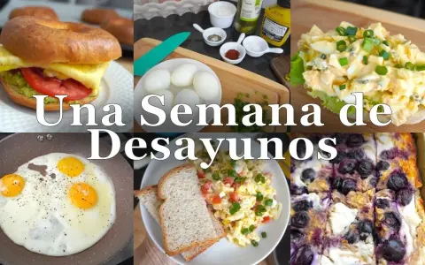 Desayunos y Almuerzos: Guía fácil para comer sano y sin aburrirte