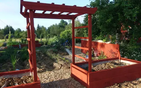 A red wooden pergola frame stands in a garden with raised beds and greenery.