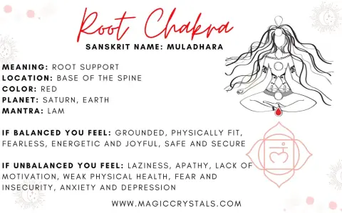 Chakra Raíz (Muladhara), su significado es soporte vital. Si está equilibrado, te sientes seguro. Si está desequilibrado, experimentas inseguridad.
