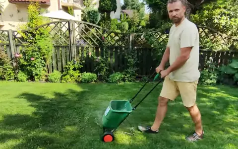Mężczyzna z dredami pokazuje, jak ustawić siewnik do trawy, rozsypując nawóz na trawniku.