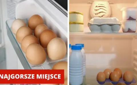 Jajka: lodówka czy półka? Ekspert wyjaśnia zasady przechowywania
