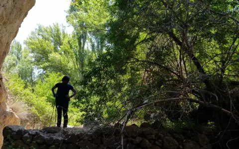 Persona con bastones de senderismo, disfrutando de las rutas por Siguenza, rodeada de vegetación exuberante y formaciones rocosas.