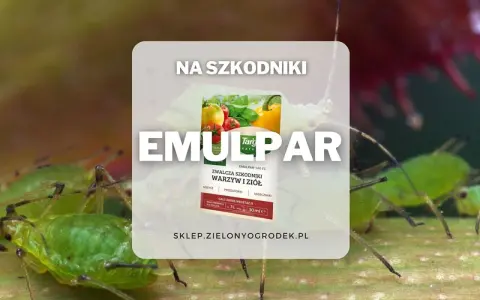 Emulpar 940 EC zwalcza mszyce i przędziorki. Sprawdź emulpar 940 ec dawkowanie na warzywa i zioła.