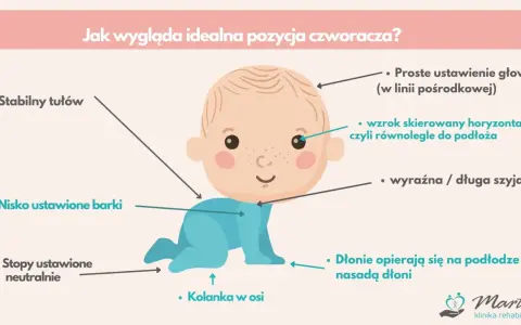 Idealna pozycja czworakowania: stabilny tułów, nisko barki, stopy neutralnie, kolanka w osi, głowa prosto, wzrok poziomo, szyja wyraźna.