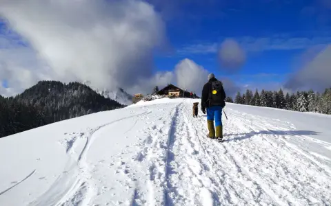 Winterliche Aueralm Wanderung: Ein Wanderer mit Hund bahnt sich den Weg durch tiefen Schnee zu einer Hütte, umgeben von verschneiten Bäumen und blauem Himmel.