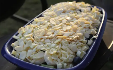 En blå form fylld med frukt och toppad med mandelspån. Perfekt för ett Gino recept.