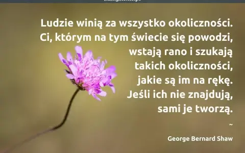 Kto rano wstaje cytaty: Czy to prawda? Inspiracja i humor