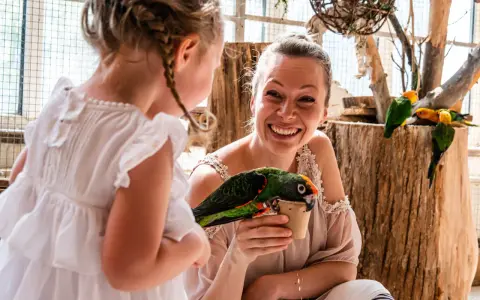 Uśmiechnięta kobieta karmi papugę z kubeczka, podczas gdy dziewczynka w białej sukience patrzy z zachwytem. Niezapomniane chwile w papugarni Gdańsk.