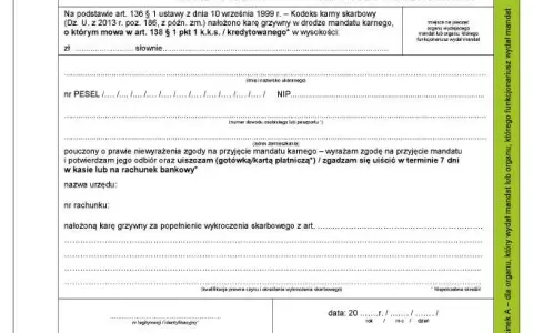 Jak sprawdzić mandat karny? Uniknij egzekucji! Poradnik