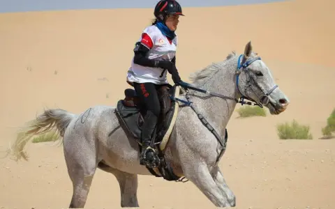 Une cavalière et son pur sang arabe endurance traversent le désert.