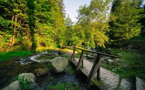 Drewniany mostek nad strumieniem w zielonej dolinie kłodzkiej. Słońce przebija się przez liście drzew, tworząc malowniczy krajobraz.