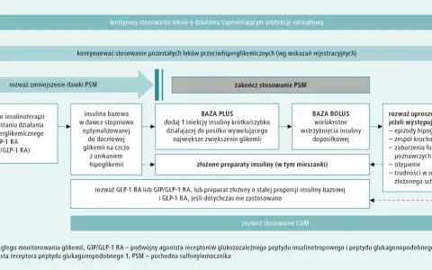 Schemat leczenia cukrzycy: kiedy stosować leki na cukrzycę przed czy po jedzeniu, insulinę bazową, bolus, złożone preparaty, GLP-1 RA, GIP/GLP-1 RA.