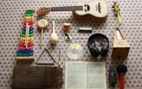 Kolorowy ksylofon, ukulele, tamburyn, marakasy, harmonijka, trójkąt, bębenek, CD, słuchawki, metronom, kalimba, nuty, mikrofon i pilot. To najprostszy instrument do nauki.