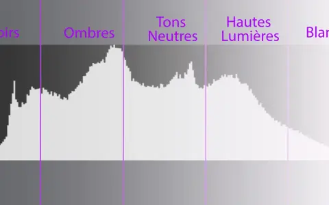 Comprendre comment lire un histogramme : une représentation graphique des tons d'une image, des noirs aux blancs, avec des zones pour les ombres, tons neutres et hautes lumières.