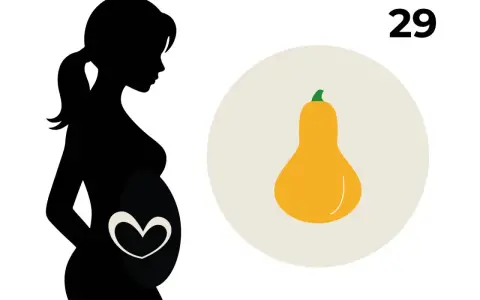 Schwarze Silhouette einer schwangeren Frau, die das 29. SSW-Baby mit einer Kürbisform vergleicht.