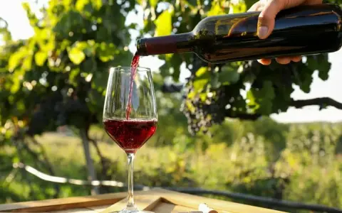 Rött vin hälls upp i ett glas på ett träbord. Perfekt vin till grekisk sallad i solnedgången bland vinrankor.