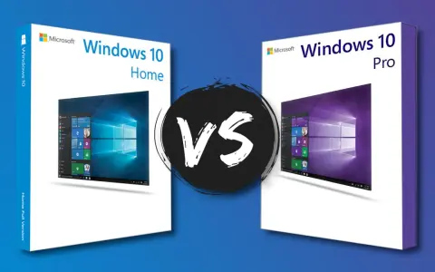Vergleich: Windows 10 Home oder Pro. Zwei Boxen mit den Betriebssystemen, links Home, rechts Pro, mit einem VS-Symbol dazwischen.