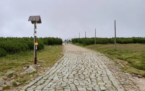 Kamienna ścieżka w górach, pośród kosodrzewin. Na pierwszym planie drewniany słup z drogowskazami, przypominający spaloną strażnicę.