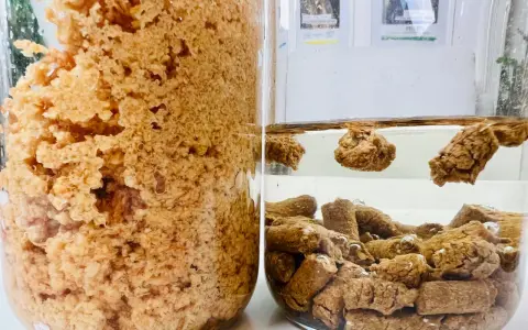 Test pelletu w wodzie. Po lewej gęsta, brązowa masa, po prawej pellety unoszą się i opadają w przezroczystej cieczy.