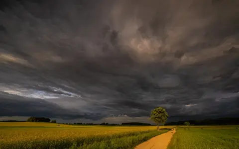Burzowe niebo nad polami rzepaku. Droga wije się przez zielone łąki, a samotne drzewo stoi na tle dramatycznych chmur. To piękne krajobrazy Podlasia.