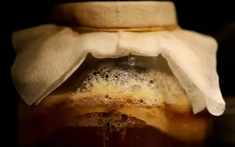 Ein Glas mit einer schaumigen, honigfarbenen Flüssigkeit, bedeckt mit einem weißen Tuch. Hier beginnt das Abenteuer, hefe selber machen!