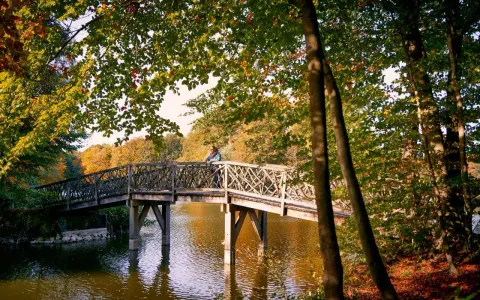 Herbstliche Brücke über den See im Bagno Steinfurt, eine Person lehnt am Geländer.
