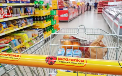 Wózek sklepowy z zakupami w Biedronce, widok z perspektywy klienta.