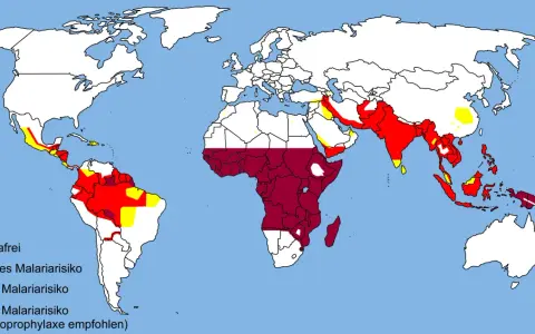 Världskarta som visar malaria utbredning. Rött indikerar högt riskområde, mörkrött högt riskområde med rekommenderad kemoprofylax. Gult visar låg risk.