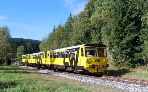 Żółty pociąg turystyczny jedzie przez malowniczy, leśny krajobraz.
