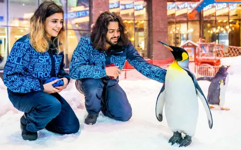 Ski Dubai: Zimowe szaleństwo w Dubaju czy warto? Pełen przewodnik