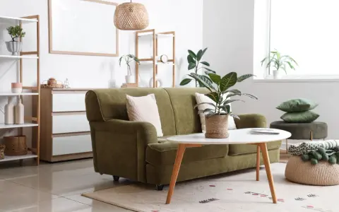 Aménagement petit studio : canapé vert, table basse ovale, étagères et plantes vertes créent un espace cosy et fonctionnel.