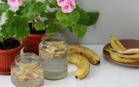 Nawóz z banana co zawiera: odkryj składniki, które pomogą roślinom