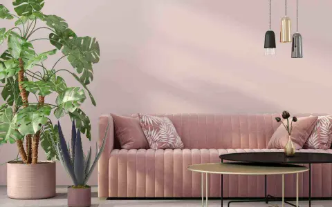 Divano rosa antico e tortora, piante verdi e lampade moderne creano un'atmosfera accogliente.