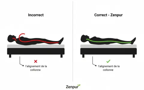 Illustration comparant un mauvais alignement de la colonne vertébrale (rouge) et un bon alignement (vert) pour éviter le mal de dos. Bien choisir son matelas aide à retourner son matelas mal de dos.