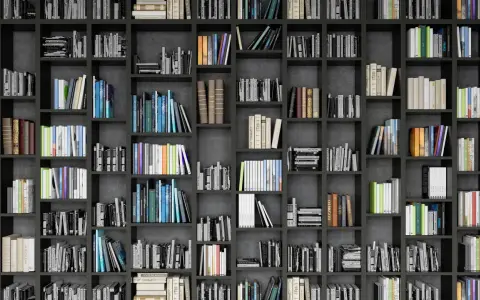 Eine Wand voller Bücherregale mit vielen Büchern in verschiedenen Farben und Größen.