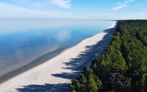 Spokojne morze i piaszczysta plaża wzdłuż sosnowego lasu na Mierzei Wiślanej. Idealne miejsce na wypoczynek w otoczeniu natury.
