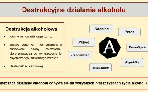 Picie alkoholu za barem? Prawo, konsekwencje, profesjonalizm