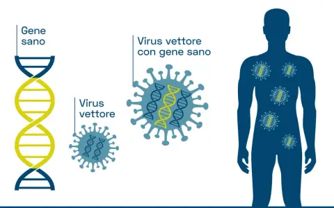 Illustrazione del processo di terapia genica: un gene sano viene inserito in un virus vettore, che poi entra in un corpo umano per correggere difetti genetici.