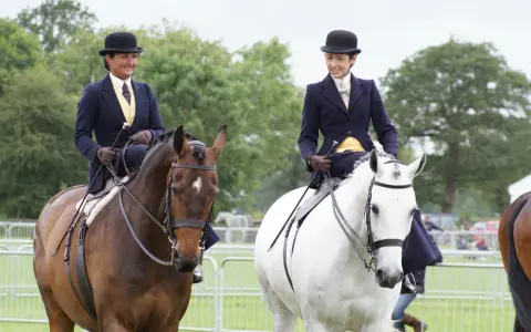 Zwei Reiterinnen im Damensattel, elegant gekleidet, reiten auf braunen und weißen Pferden.
