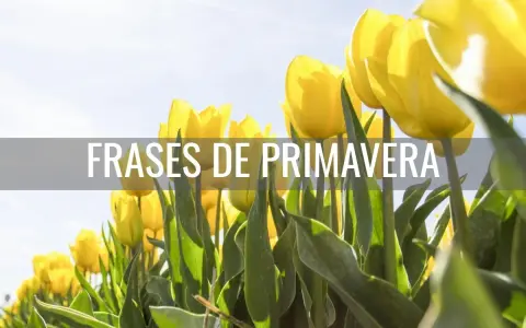 Un campo de tulipanes amarillos bajo un cielo azul, con el texto "Frases de primavera para niños" superpuesto.