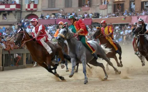 Jockeys in colorful silks race horses during the Palio di Siena. Dust flies as the horses thunder across the track, a thrilling spectacle of the historic siena horse race.