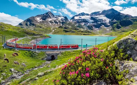 Czerwony pociąg wije się wzdłuż turkusowego jeziora, podziwiając alpejskie szczyty. Idealna podróż ze **Swiss Travel Pass**.