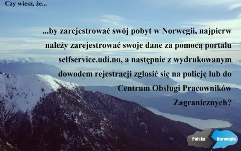 Wzór formularza S1: rejestracja pobytu w Norwegii wymaga wypełnienia danych na selfservice.udi.no, a potem zgłoszenia na policji lub w Centrum Obsługi Pracowników Zagranicznych.