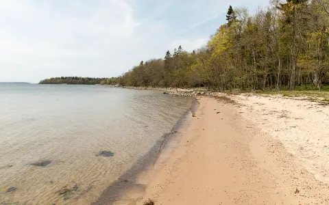 En sandstrand vid Riddersholms naturreservat med klart vatten och en lummig skogskant.